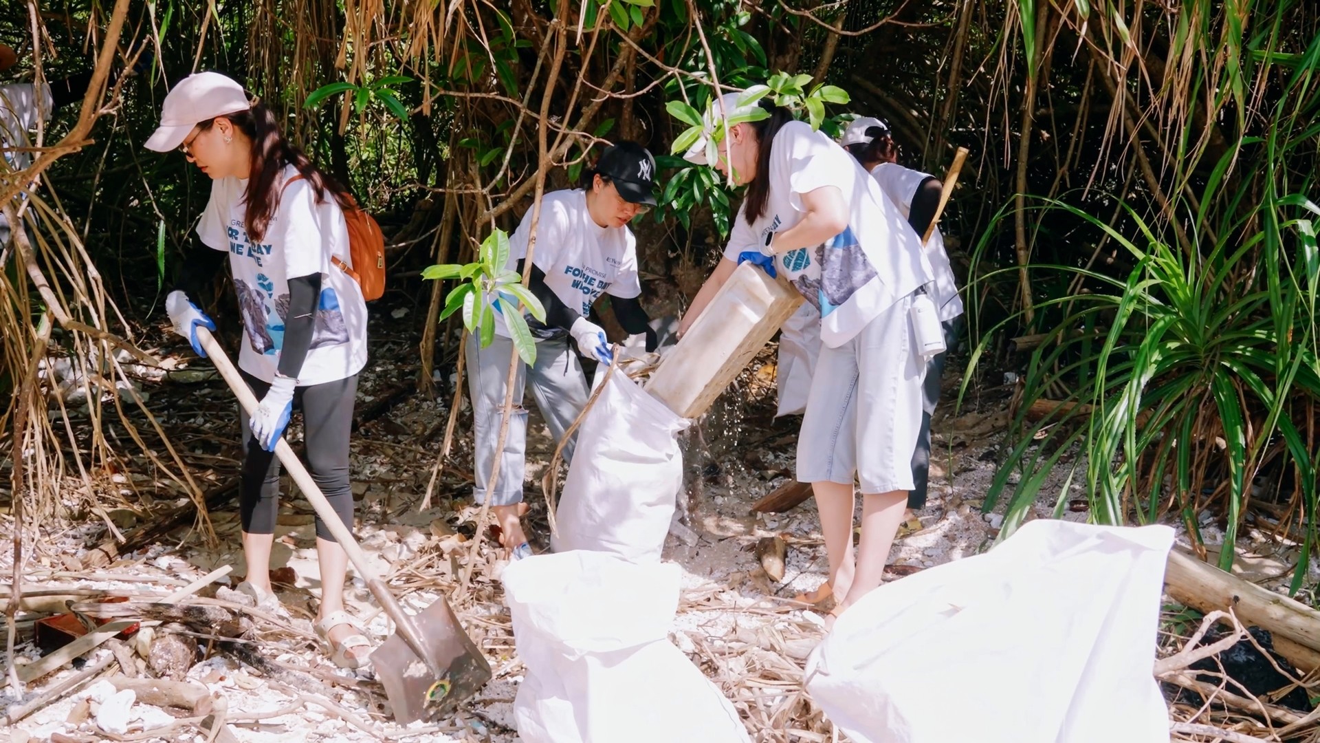 clean-the-bay-20261-1780298788.jpg