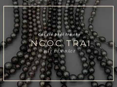 Ngọc trai nào đắt nhất hiện nay? Những “bí mật” trong mua bán ngọc trai bạn nên biết!