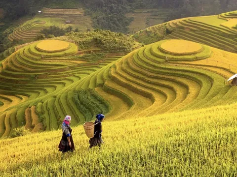 Làm gì để chuyển đổi tư duy nông nghiệp sinh thái tại Việt Nam