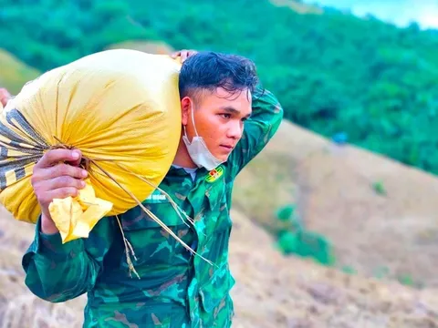 Quảng Nam: Chiến sĩ biên phòng giúp đồng bào thu hoạch lúa