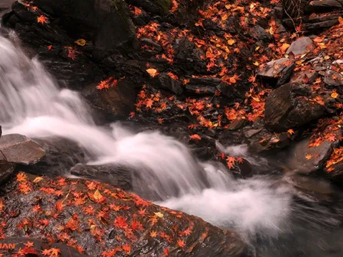 Du lịch Đài Loan miễn phí dịp cuối năm - Ưu đãi có hạn!